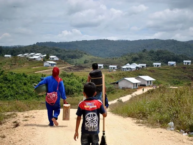 Reforma Agraria Sedang Dikebut. Ini 7 Info Soal Lahan Gratis yang Bakal Dibagikan Pemerintah 14