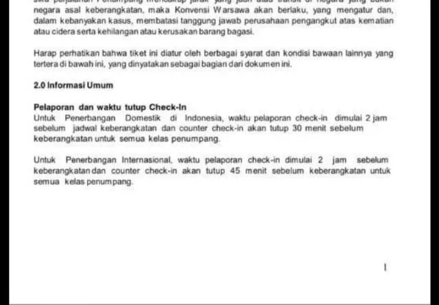 Mudik Lebaran A la Lion Air. Beberapa Penumpang Gagal Mudik Karena Nggak Bisa Check In! 5