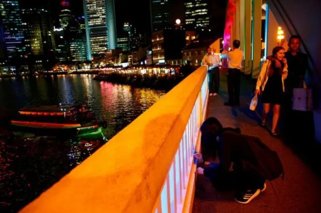 Lihat Deh Tren Terbaru di Singapura Ini! Unik, Warganya Lagi Hobi Banget Berburu & Koleksi Semut 5
