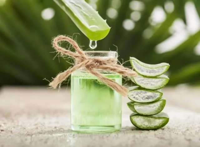 Selain Merawat Rambut, Lidah Buaya Punya 9 Khasiat Lain yang Belum Banyak Orang Tahu 17
