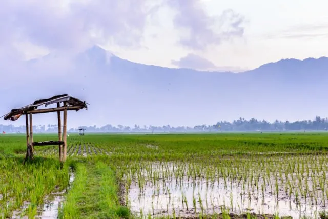20 Kata Berbahasa Indonesia Ini Bisa Membuktikan Seberapa Jauh Kamu Kenal Bahasa Sendiri 36