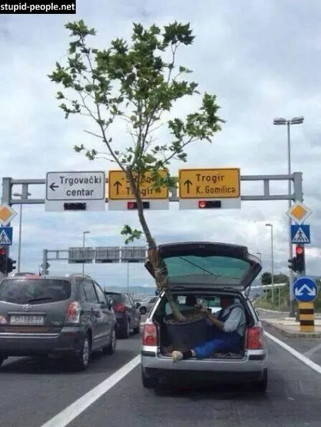 10 Foto Mobil yang Menderita Karena Dipaksa Bawa Muatan yang Membahayakan, Jangan Ditiru Pas Mudik! 20