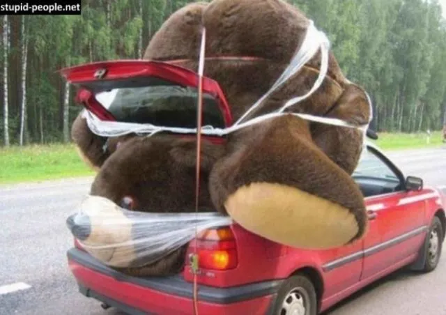 10 Foto Mobil yang Menderita Karena Dipaksa Bawa Muatan yang Membahayakan, Jangan Ditiru Pas Mudik! 16