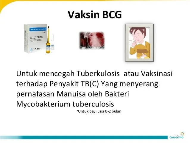 Jangan Sok Tahu Buat Anakmu Nanti! Ini Harga 5 Vaksin yang Bikin Mereka Terproteksi 6