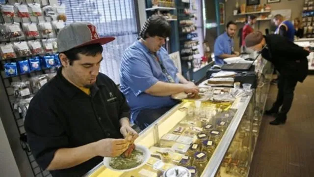 Di Beberapa Tempat Berikut Ternyata Ganja Legal, Lho. Tapi Tetap Ada Aturan yang Sangat Ketat Sih 6