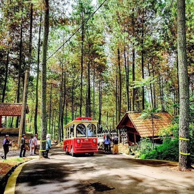 Mau Naik Permadani Kayak Aladdin? Kamu Harus Berkunjung ke Dago Dream Park, Wisata Hits di Bandung! 6