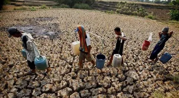 8 Hal yang Akan Terjadi Jika Semua Manusia di Bumi Berhenti Makan Daging 11
