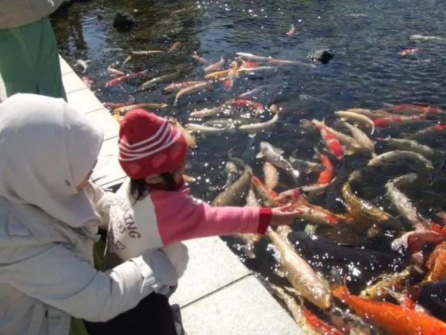Anak Kecil Memang Ajaib. Percaya Nggak Dulu Kamu Pernah Menanyakan 8 Hal Ini ke Orang Tua? 15