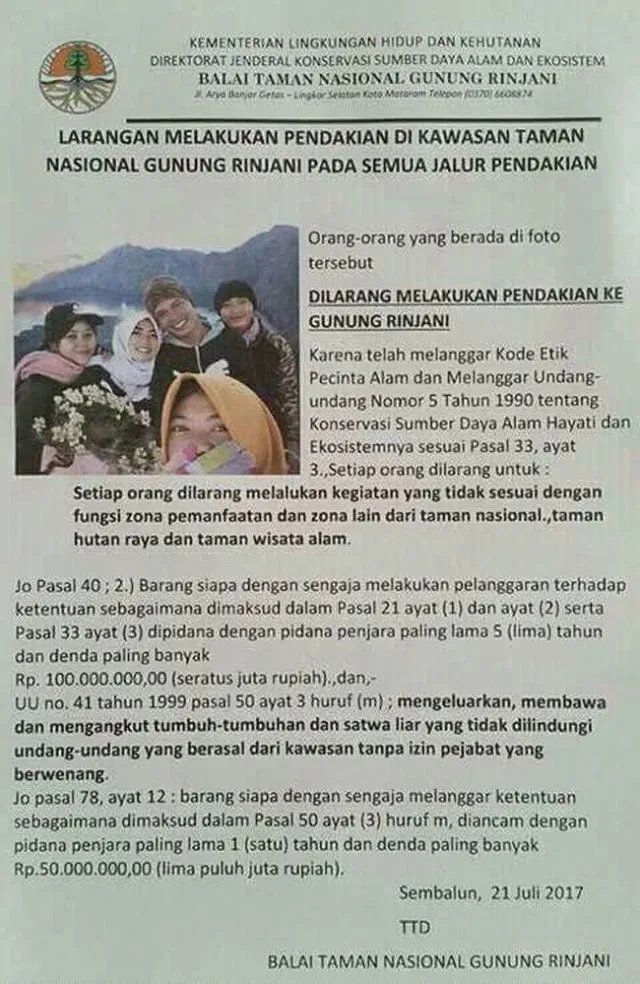 Pelaku Pemetik Edelweiss di Rinjani Akan Jadi Duta Pelestarian Edelweiss! Miris tapi Kocak Sih... 4