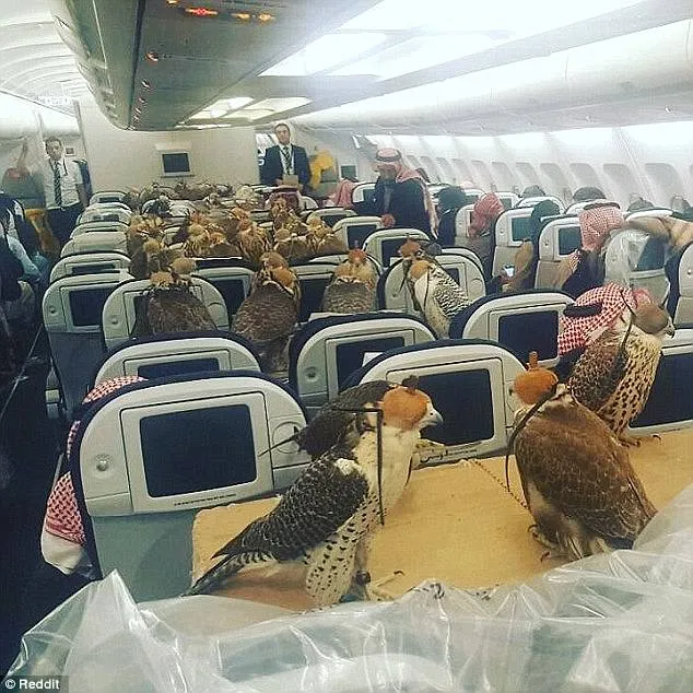 10 Kelakuan Glamour dari Anak Muda Kaya Raya di Arab Saudi. Mulai Jet Pribadi Sampai Pelihara Macan! 18