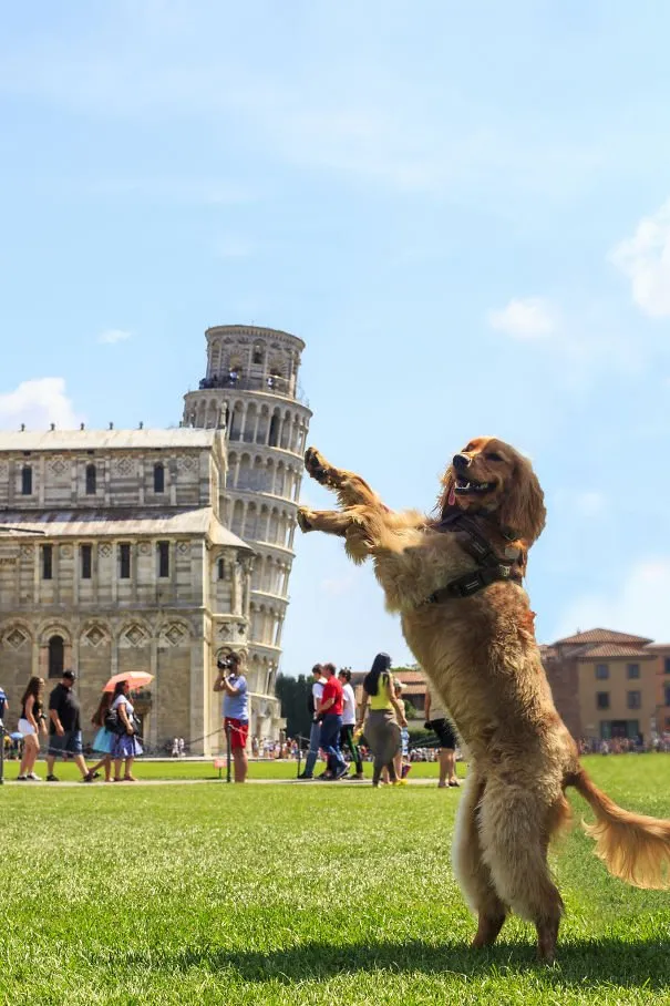 10 Teknik Berfoto di Menara Pisa yang Unik dan Nggak Biasa. Kreatif Sekali Turis-turis Ini! 12
