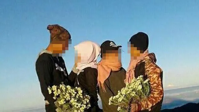 Pelaku Pemetik Edelweiss di Rinjani Akan Jadi Duta Pelestarian Edelweiss! Miris tapi Kocak Sih... 5