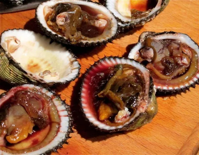 Penuh Racun & Berbahaya, Tapi Masih Aja Ada yang Mau Makan. Ini 13 Makanan Paling Beracun di Dunia 19