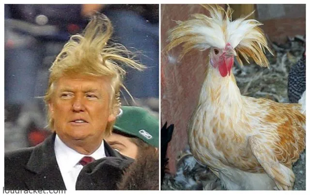Misteri di Balik Rambut Donald Trump Terungkap! Saking Seringnya Diomongin, Para Ahli Angkat Bicara 15