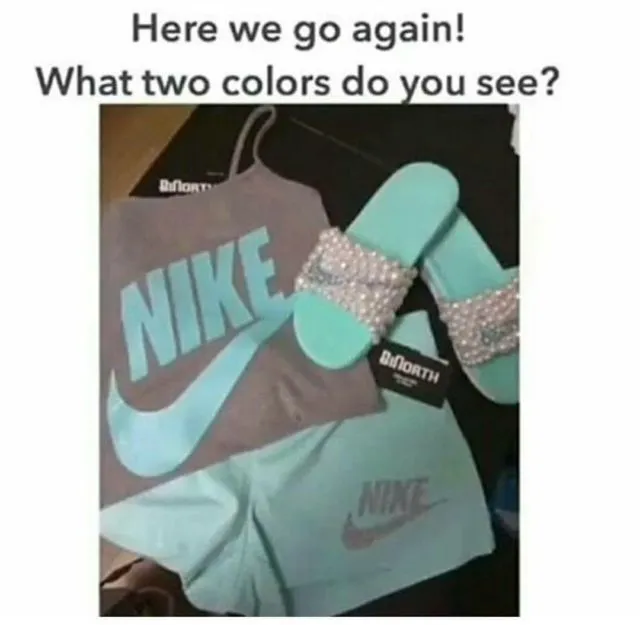 Banyak Orang Berantem Gara-gara Warna di Foto Ini, Tapi Ternyata Ini Bukan Kasus yang Pertama 5