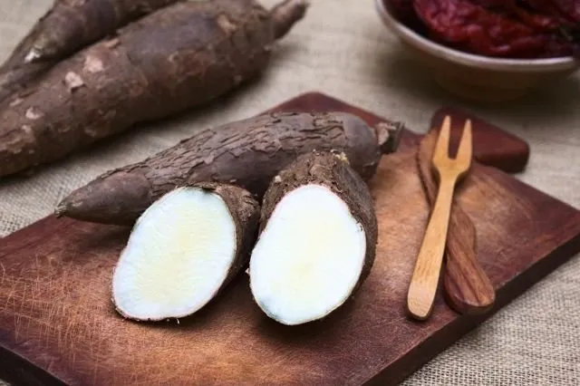 Penuh Racun & Berbahaya, Tapi Masih Aja Ada yang Mau Makan. Ini 13 Makanan Paling Beracun di Dunia 23