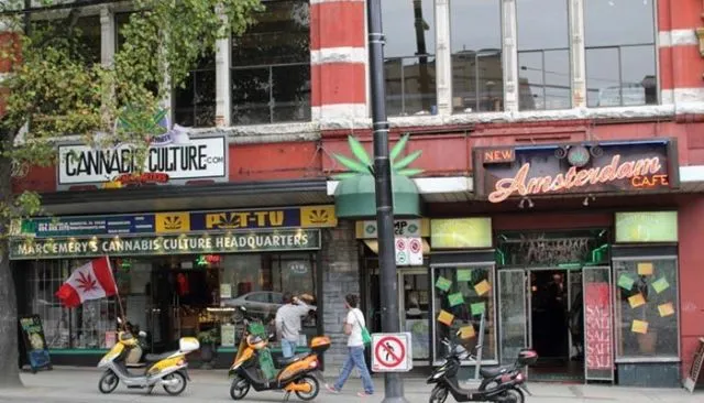 Di Beberapa Tempat Berikut Ternyata Ganja Legal, Lho. Tapi Tetap Ada Aturan yang Sangat Ketat Sih 7