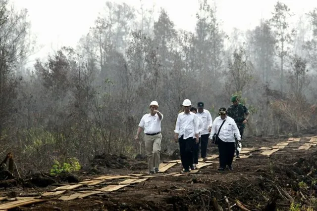 Calon Ibukota Baru Sejak Era Orde Lama, Inilah Kenapa Palangkaraya Selalu Jadi Pilihan Pertama 10