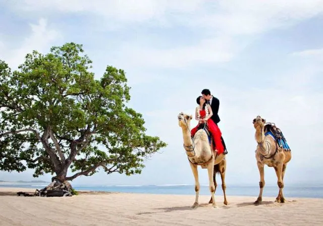 12 Destinasi Wisata Hits yang Cocok Buat Foto Pre Wedding. Aih Jadi Nggak Sabar Pengen Segera Nikah! 15