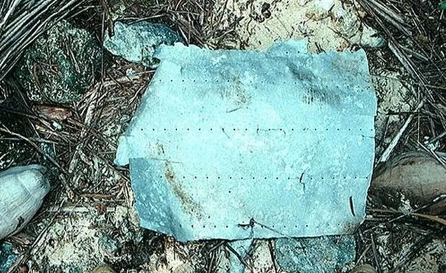Katanya Bisa Ungkap Salah Satu Misteri Terbesar dalam Sejarah, Foto Ini Jadi Perdebatan Dunia 11