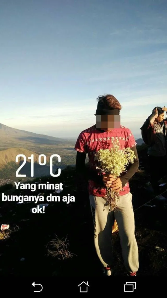 Heboh Pendaki Memetik Edelweiss di Gunung Rinjani. Pendaki Kayak Begini yang Bisa Dibilang Ndeso! 6