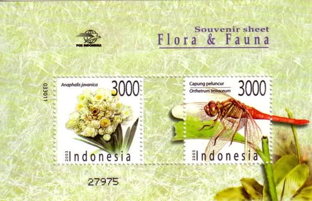 Meski Namanya Bule, Bunga Edelweiss Ternyata Spesial Banget Lho Buat Indonesia! Cek Deh Faktanya 30
