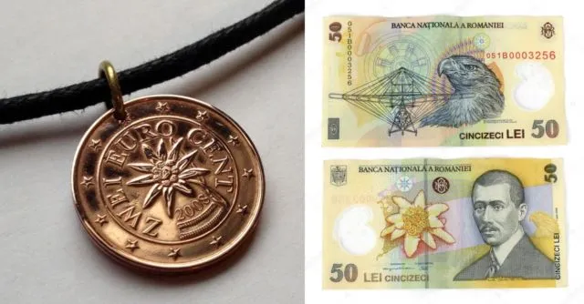 Meski Namanya Bule, Bunga Edelweiss Ternyata Spesial Banget Lho Buat Indonesia! Cek Deh Faktanya 29