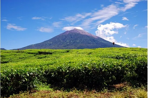 Menguak Misteri 9 Gunung Paling Angker di Indonesia. Berani Kamu Mendaki ke Sana? 11
