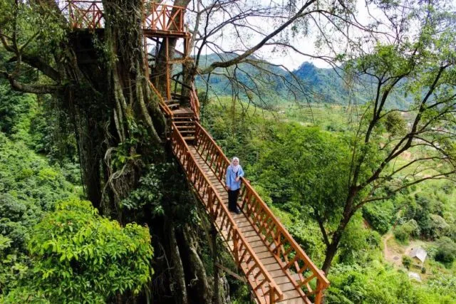 Tempat Wisata di Bogor Terbaru yang Wajib Dicoba 18