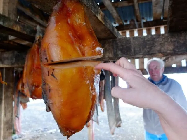 Penuh Racun & Berbahaya, Tapi Masih Aja Ada yang Mau Makan. Ini 13 Makanan Paling Beracun di Dunia 20