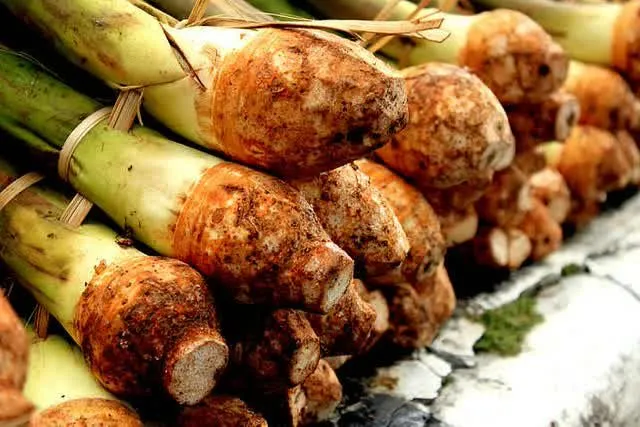 5 Cara Sunat Zaman Dulu yang Bakal Bikin Cowok Ngilu. Untung Sekarang Sudah Nggak Ada Lagi! 9