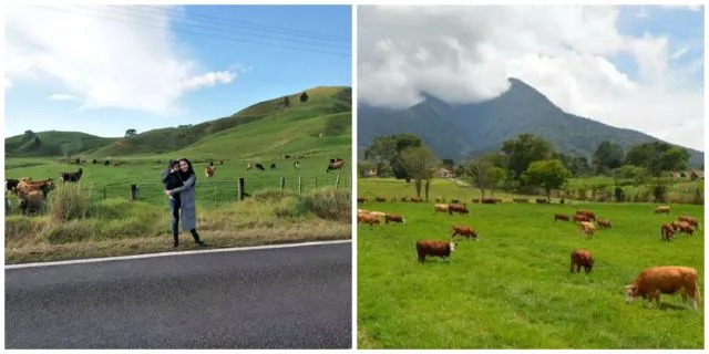 Serupa Tapi Tak Sama, Ini Kemiripan New Zealand dan Indonesia dari Postingan Ayu Ting Ting! 6