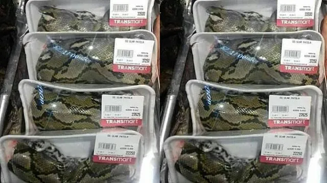 Heboh Daging Ular di Supermarket Kita, Ternyata Ada yang Lebih Seram Dijual di China 10