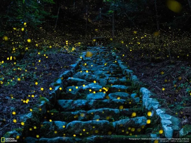 Foto Pemenang NatGeo Travel Photographer Awards. Belajarlah dari Mereka Biar Kualitas Fotomu Juara! 13