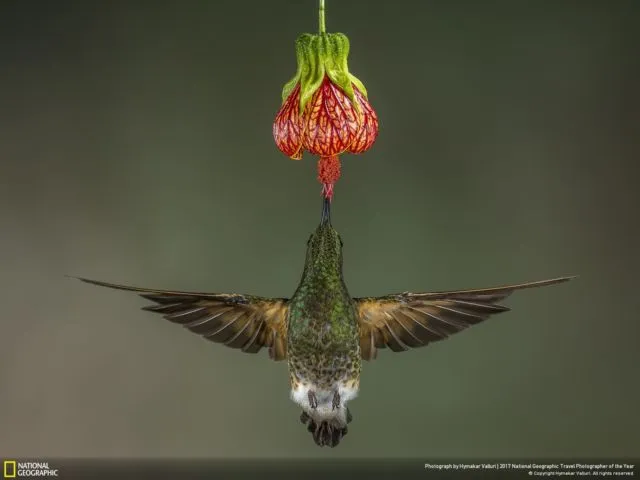 Foto Pemenang NatGeo Travel Photographer Awards. Belajarlah dari Mereka Biar Kualitas Fotomu Juara! 15