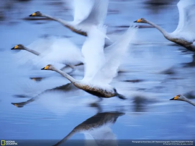 Foto Pemenang NatGeo Travel Photographer Awards. Belajarlah dari Mereka Biar Kualitas Fotomu Juara! 12