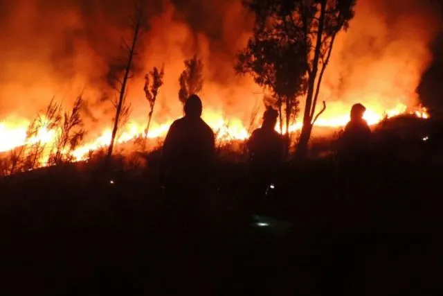 Miris, Hutan di Gunung Rinjani Terbakar Hebat. Diduga Rokok Pendaki lah yang Jadi Penyebabnya! 4