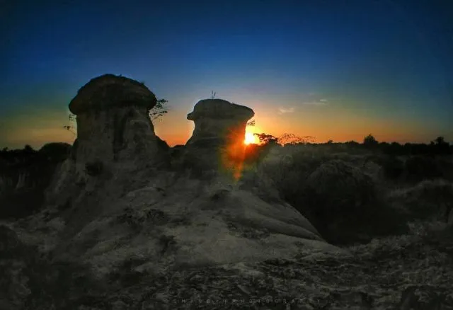 Bukit Jamur, Destinasi Hits di Gresik yang Bikin Kamu Serasa Berada di Negeri Dongeng! 6