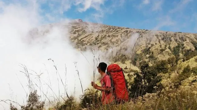 Miris, Hutan di Gunung Rinjani Terbakar Hebat. Diduga Rokok Pendaki lah yang Jadi Penyebabnya! 5