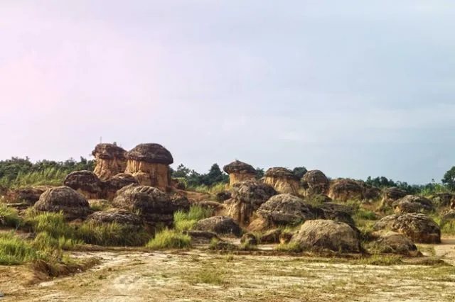 Bukit Jamur, Destinasi Hits di Gresik yang Bikin Kamu Serasa Berada di Negeri Dongeng! 4
