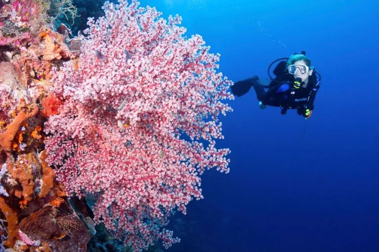 10 Destinasi Ini yang Lagi Serius Dikembangin Pemerintah, Wah Bisa Jadi Prioritas Tujuan Wisata Nih 17
