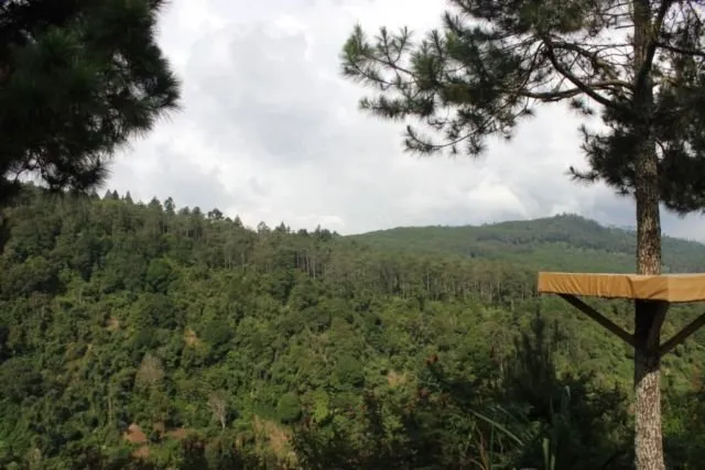 Bingung Nyari Destinasi Liburan Romantis di Bandung? Kamu Wajib Datangi 3 Tempat Ini! 8