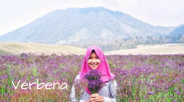 15 Nama Indah Bertema Alam dan Petualangan Ini Cocok Buat Dedek Bayimu Nanti! 25