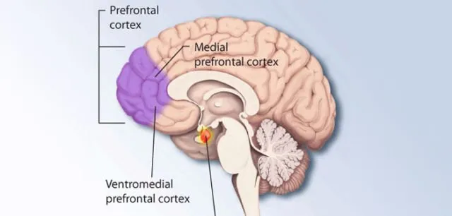 4 Fakta Tentang Tourette, Sindrom yang Sebabkan Tora Sudiro Sampai Terciduk Karena Konsumsi Dumolid 7