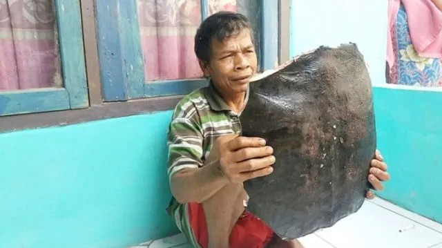 Hanya Karena Penasaran, Kura-kura Temuan Disembelih dan Dimakan. Sedih, Padahal Bisa Aja Lho Langka 6
