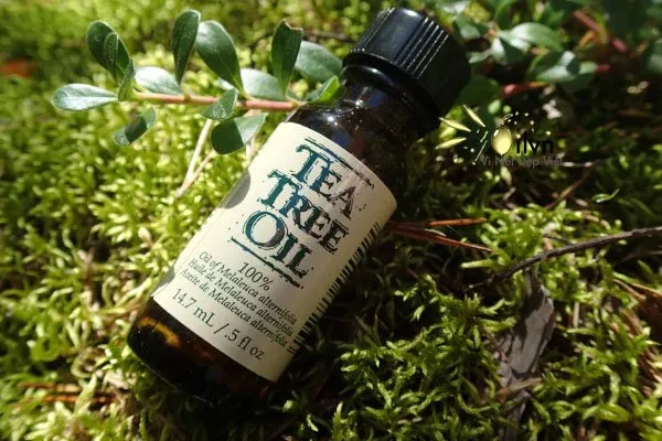 8 Kandungan di Dalam Kosmetik Anti Jerawat. Pelajari Khasiatnya Agar Kulitmu Makin Terawat 13