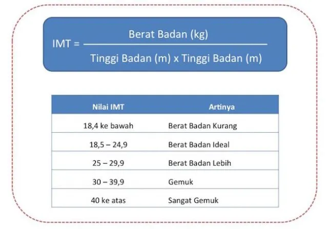 Berapa Sih Kenaikan Berat Badan yang Ideal Saat Hamil? Cek di Sini untuk Tahu Jawabannya 4