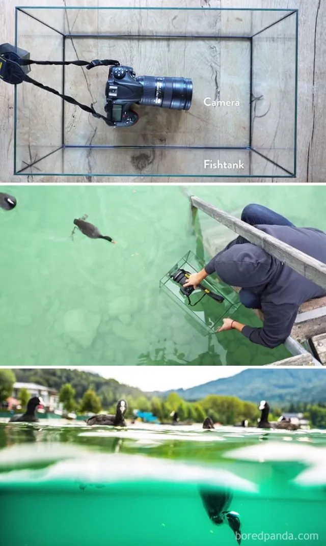 12 Trik Sederhana Fotografi dengan Peralatan yang Ada di Rumah. Cuma 3 Menit, Hasilnya Begitu Mewah! 15