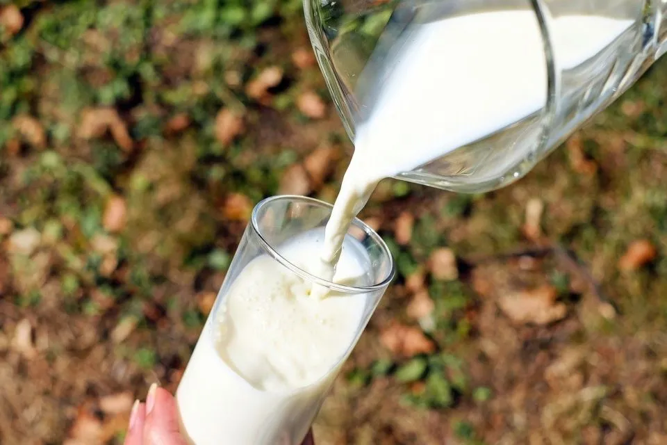 Bedanya Susu UHT, Pasteurisasi, Susu Bubuk, dan Susu Kental Manis. Mana yang Paling Baik? 8