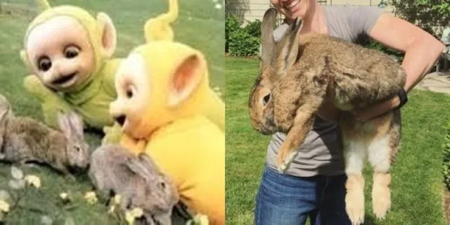 Banyak yang Heboh Lihat Versi Barunya Teletubbies, Acara TV yang Satu Ini Emang Nggak Ada Matinya! 27